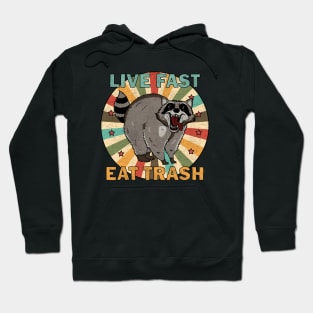 Raccoon - Live Fast Eat Trash Hoodie